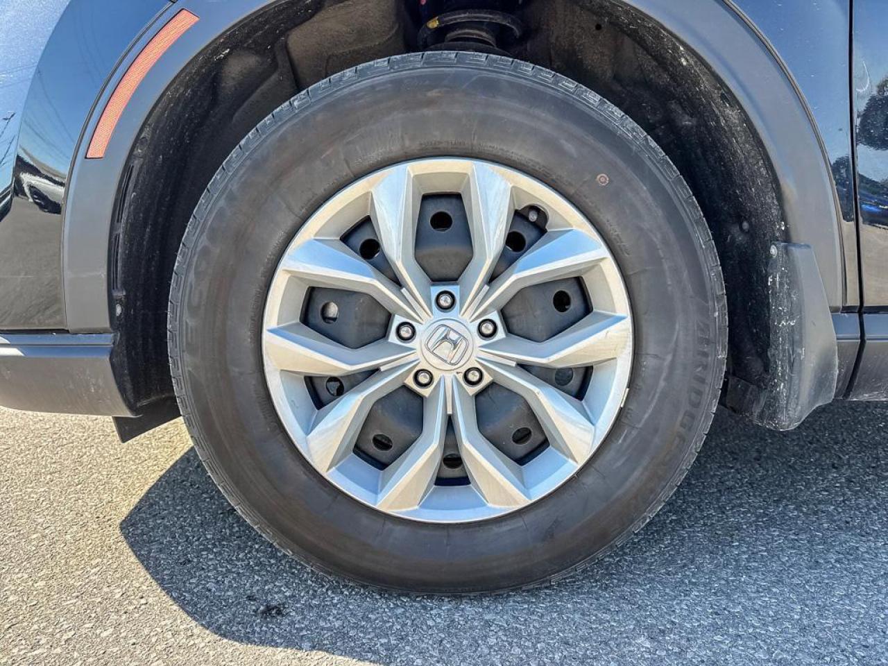 2023 Honda CR-V LX Photo