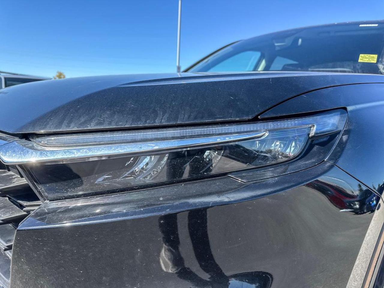 2023 Honda CR-V LX Photo