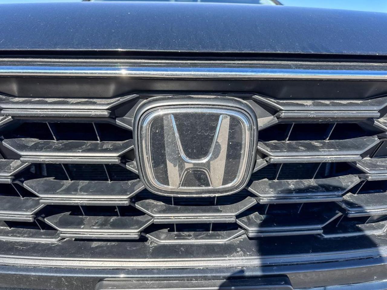 2023 Honda CR-V LX Photo