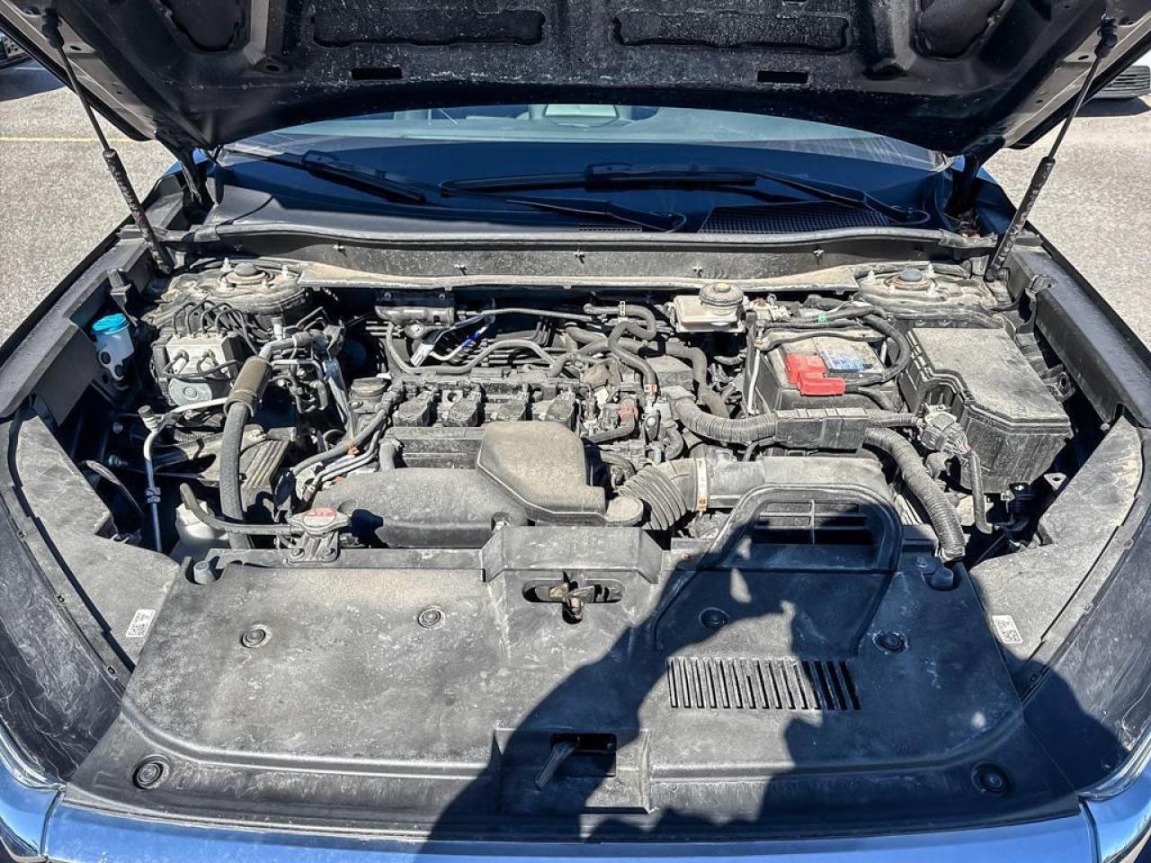 2023 Honda CR-V LX Photo