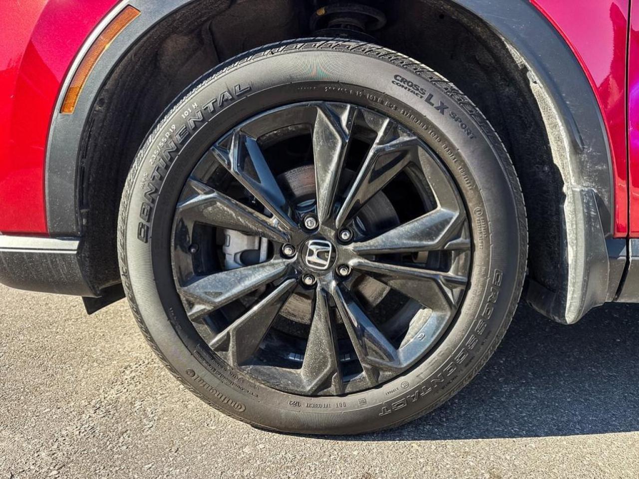 2023 Honda CR-V Hybrid Touring Photo