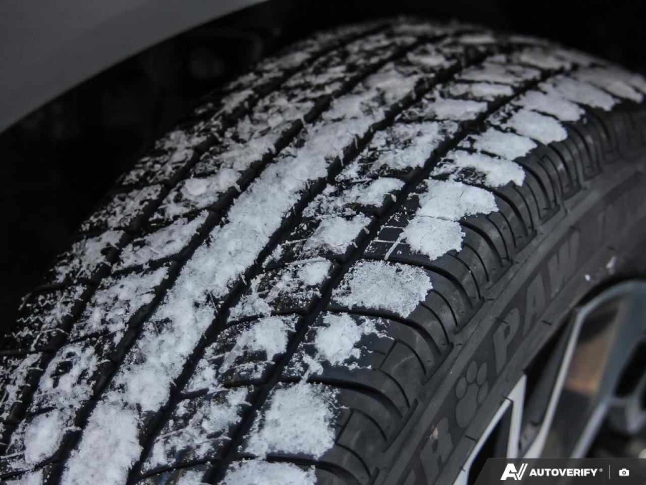 2023 Kia Sportage EX   Apple CarPlay   Backup Camera   Heated Seats Photo