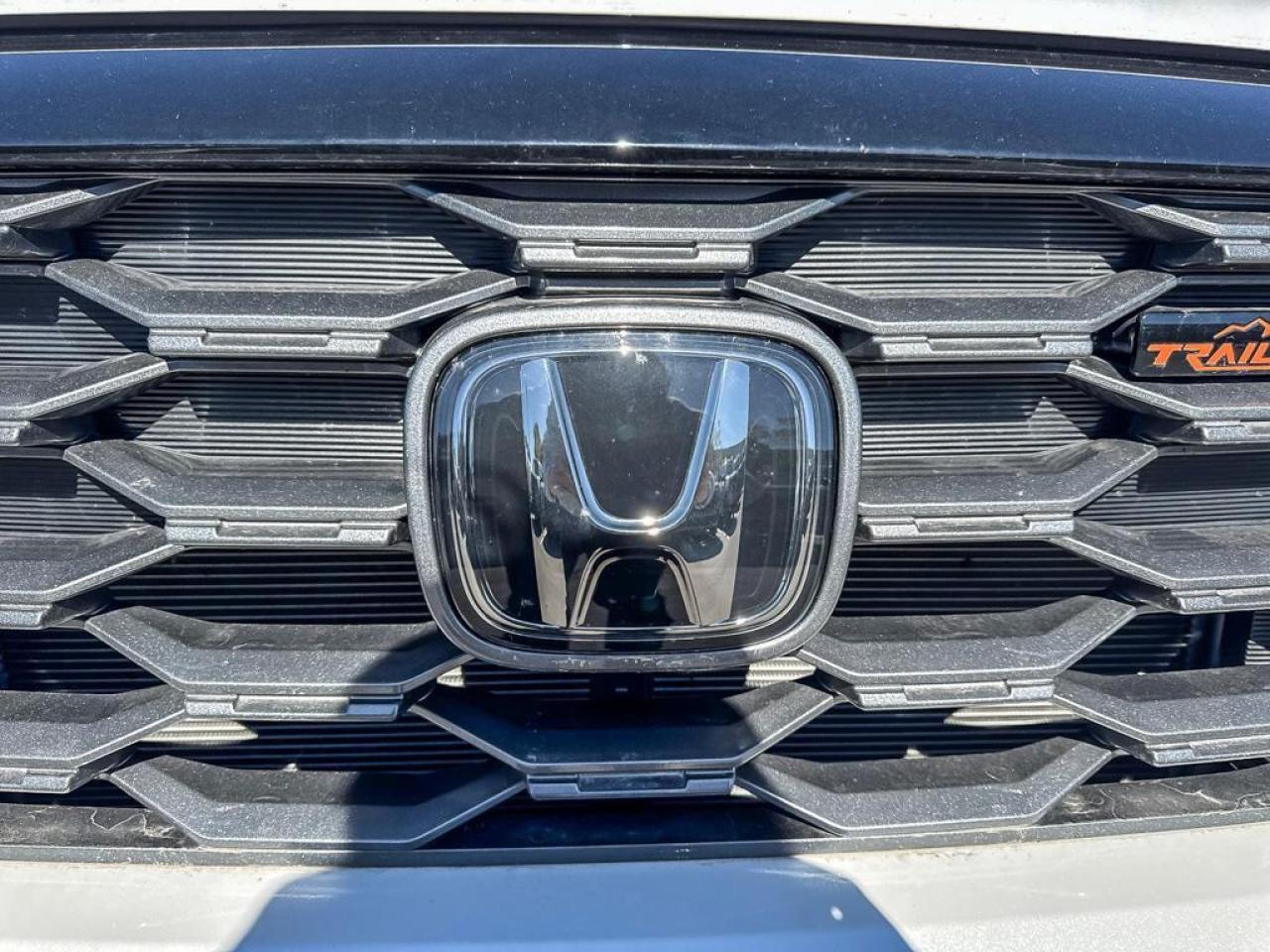 2025 Honda Ridgeline TrailSport Photo