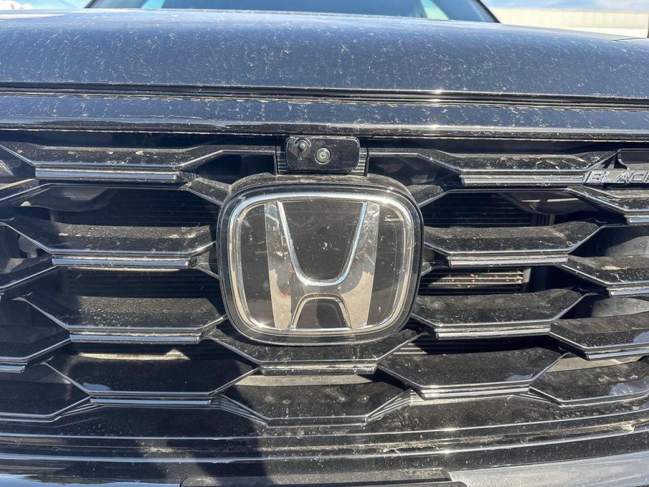 2025 Honda Pilot Black Edition Photo