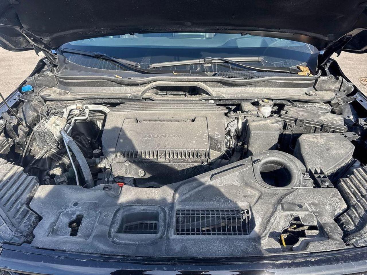 2025 Honda Pilot Black Edition Photo