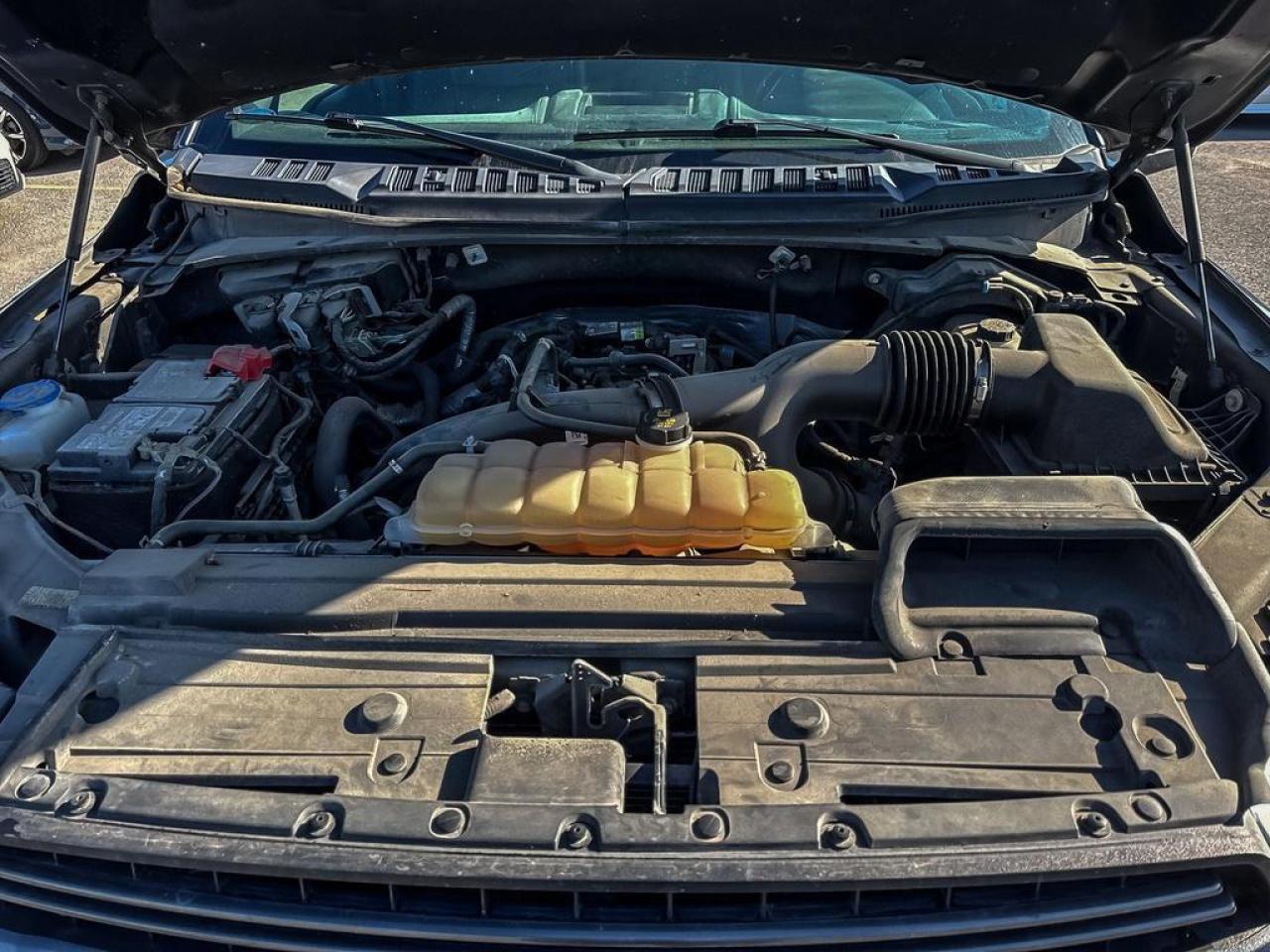 2020 Ford F-150 Lariat Photo