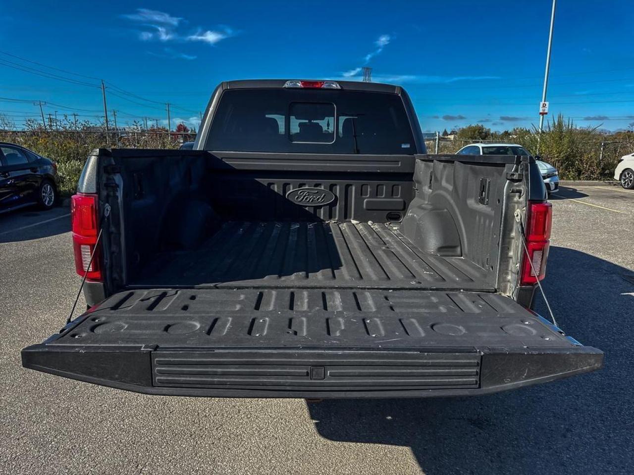 2020 Ford F-150 Lariat Photo