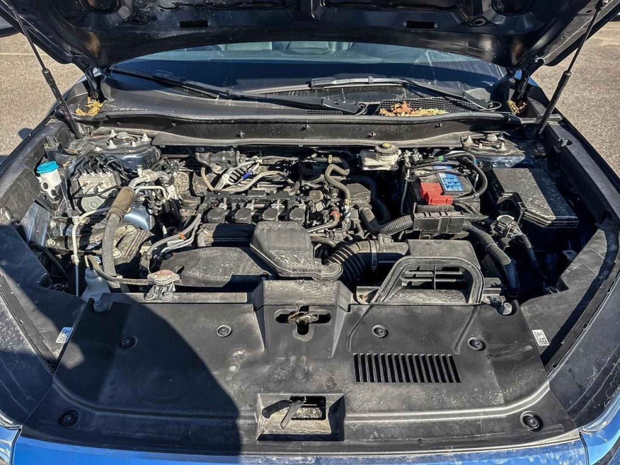 2024 Honda CR-V EX-L Photo