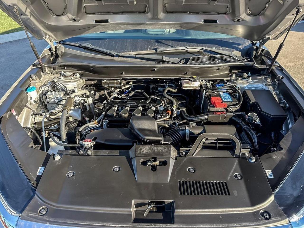 2024 Honda CR-V LX Photo