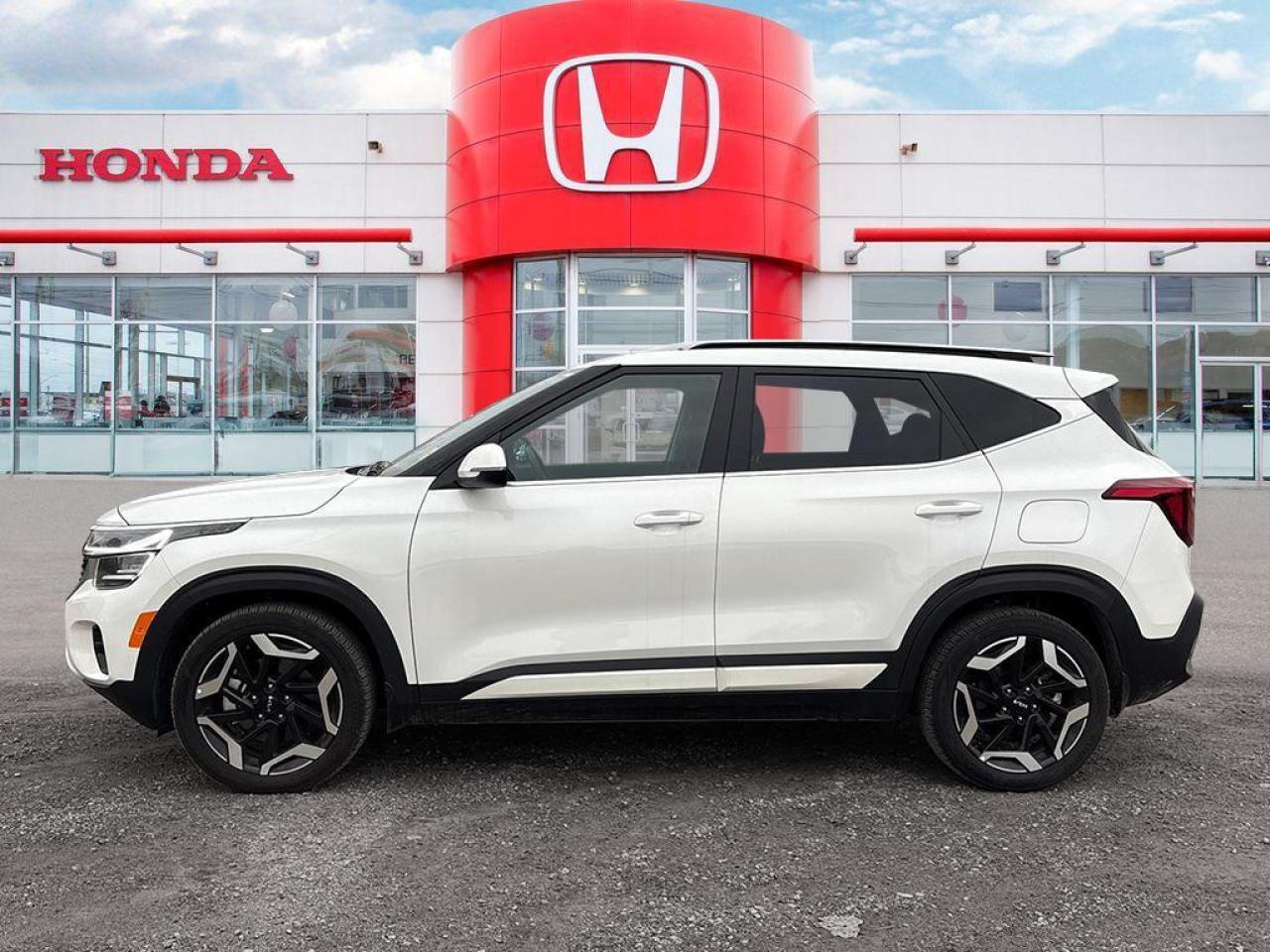 2024 Kia Seltos SX Photo