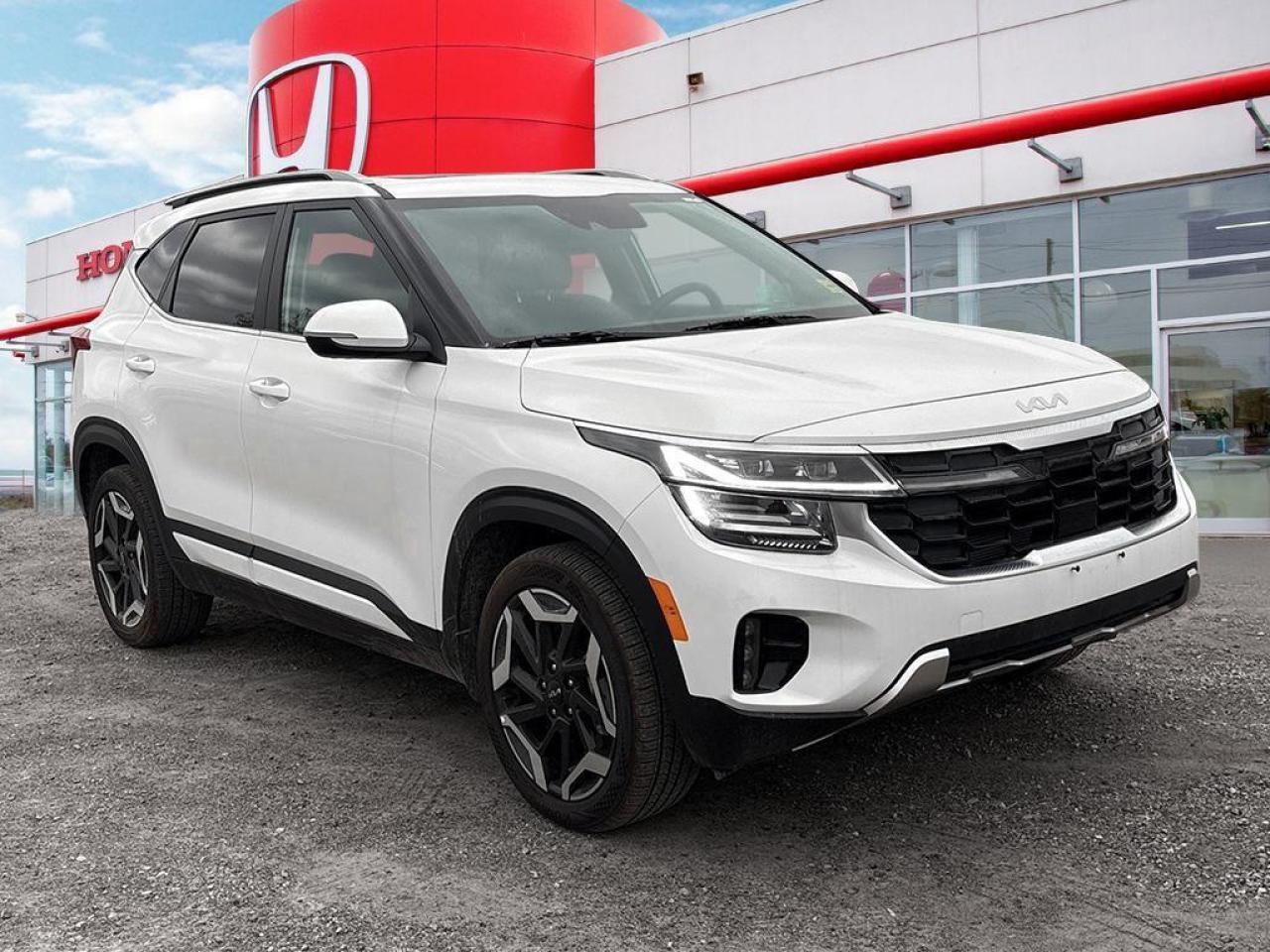 2024 Kia Seltos SX Photo