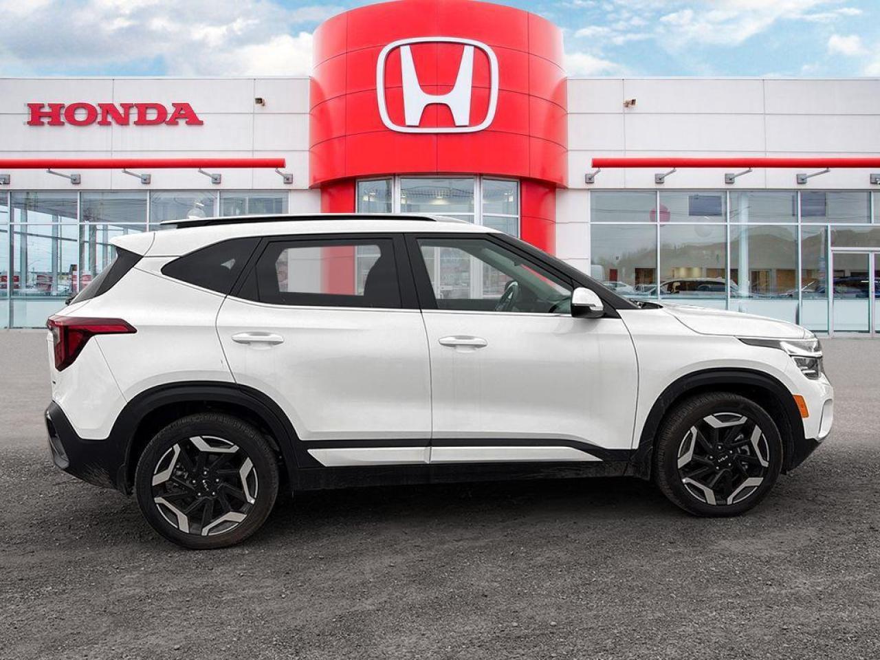 2024 Kia Seltos SX Photo