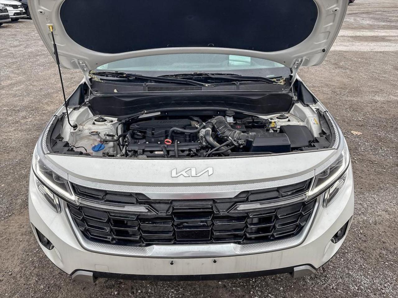 2024 Kia Seltos SX Photo