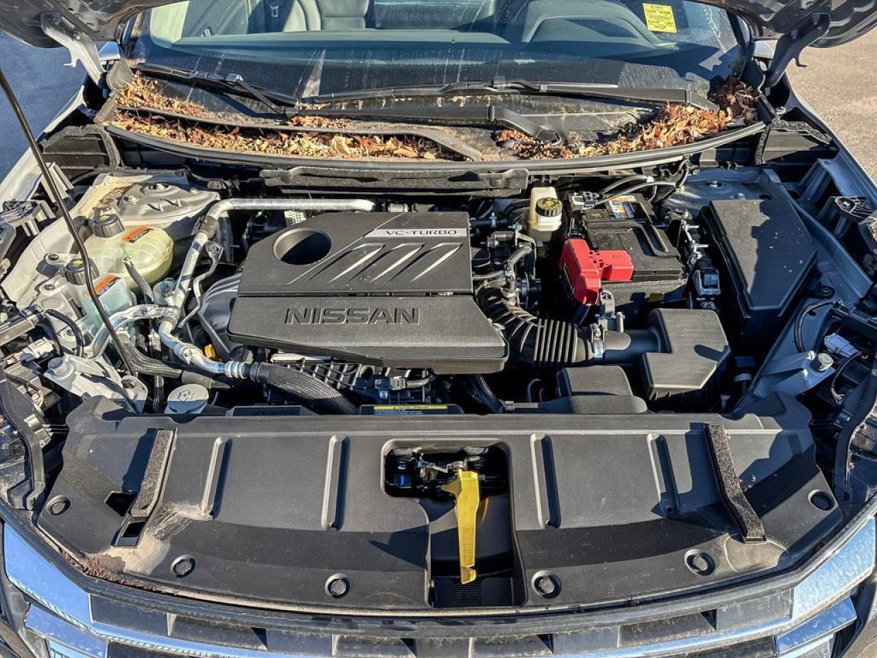 2025 Nissan Rogue SL Photo