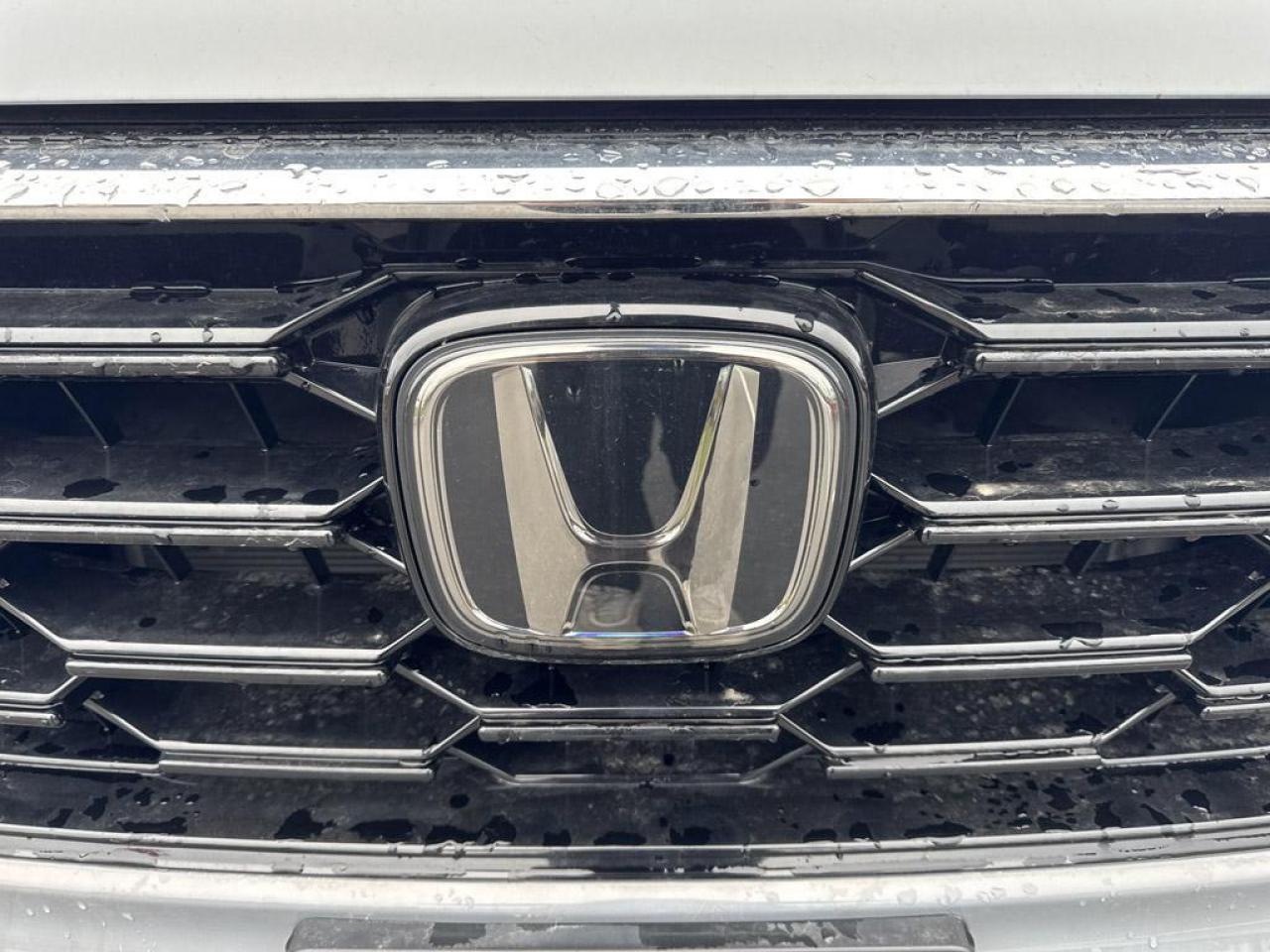 2024 Honda CR-V Sport Photo