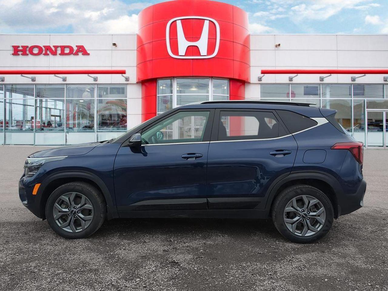 2025 Kia Seltos EX Photo