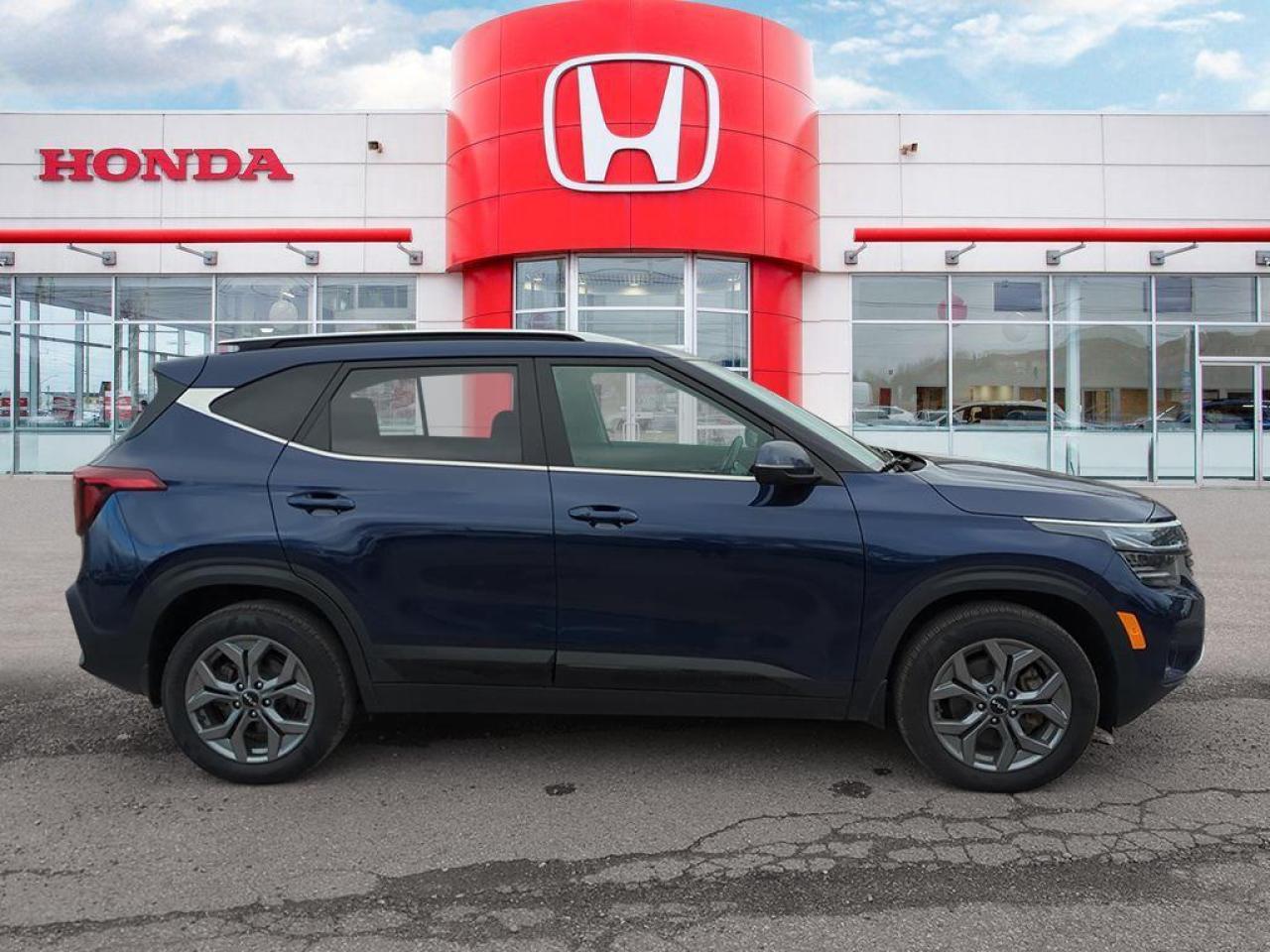 2025 Kia Seltos EX Photo