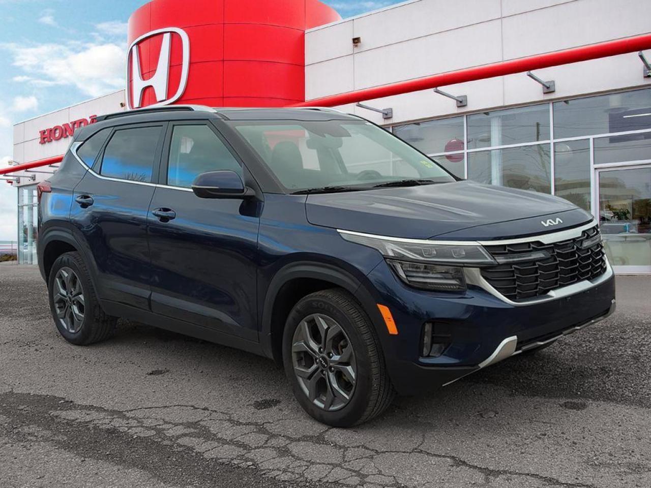 2025 Kia Seltos EX Photo