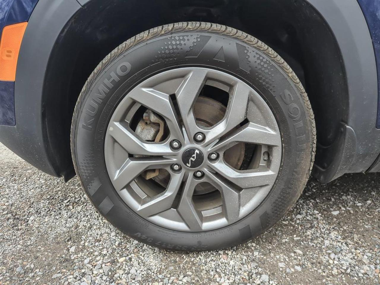 2025 Kia Seltos EX Photo