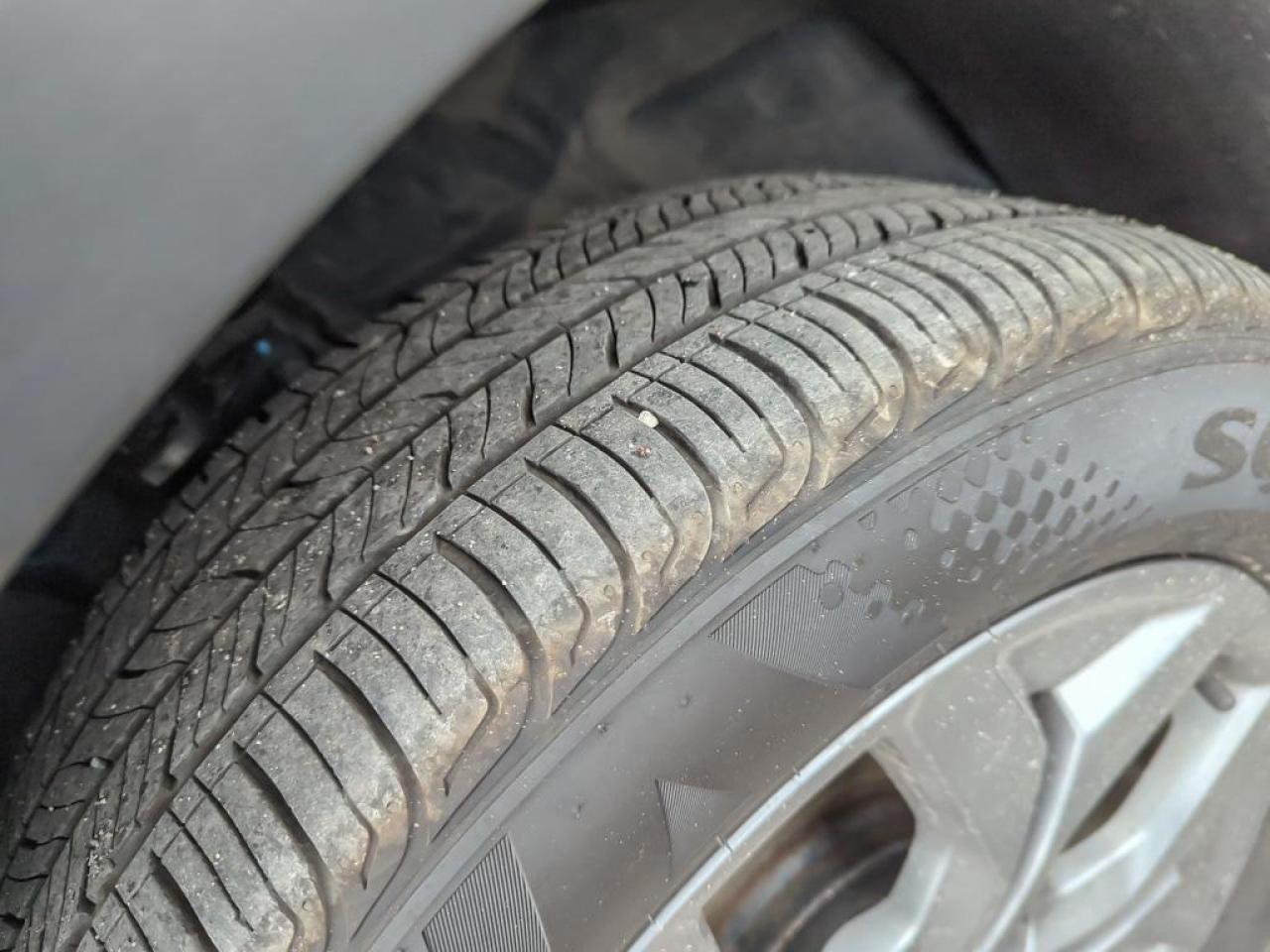 2025 Kia Seltos EX Photo