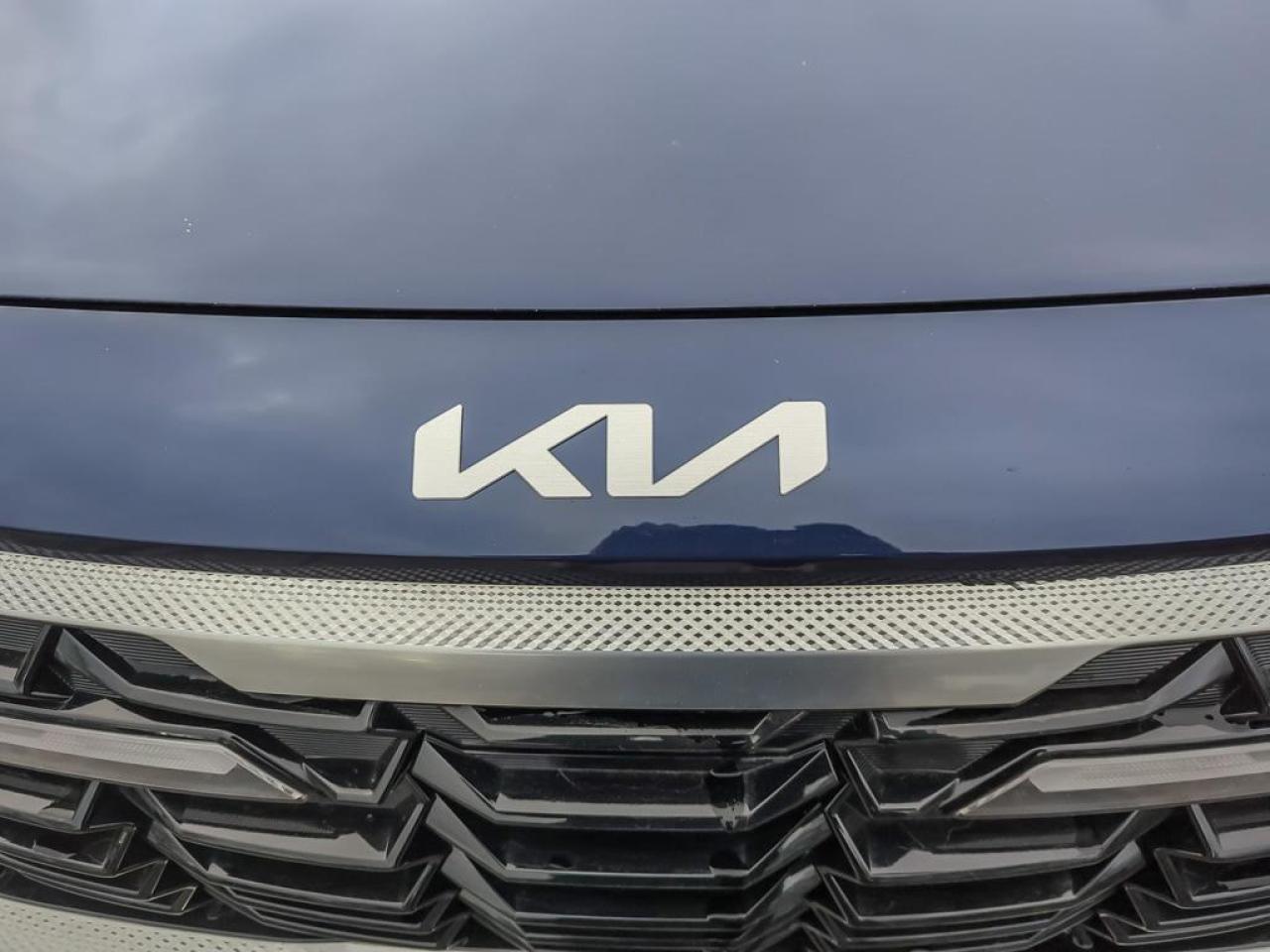 2025 Kia Seltos EX Photo