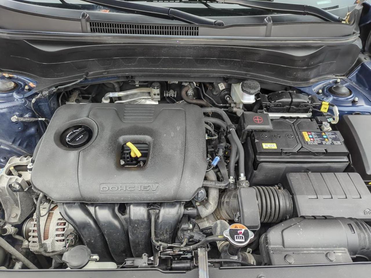 2025 Kia Seltos EX Photo