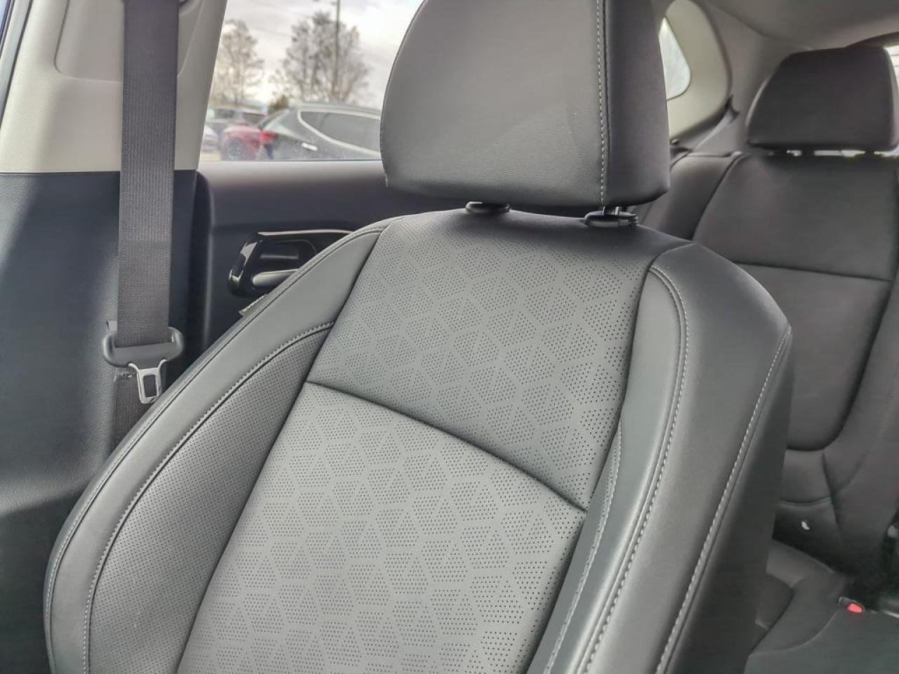 2025 Kia Seltos EX Photo