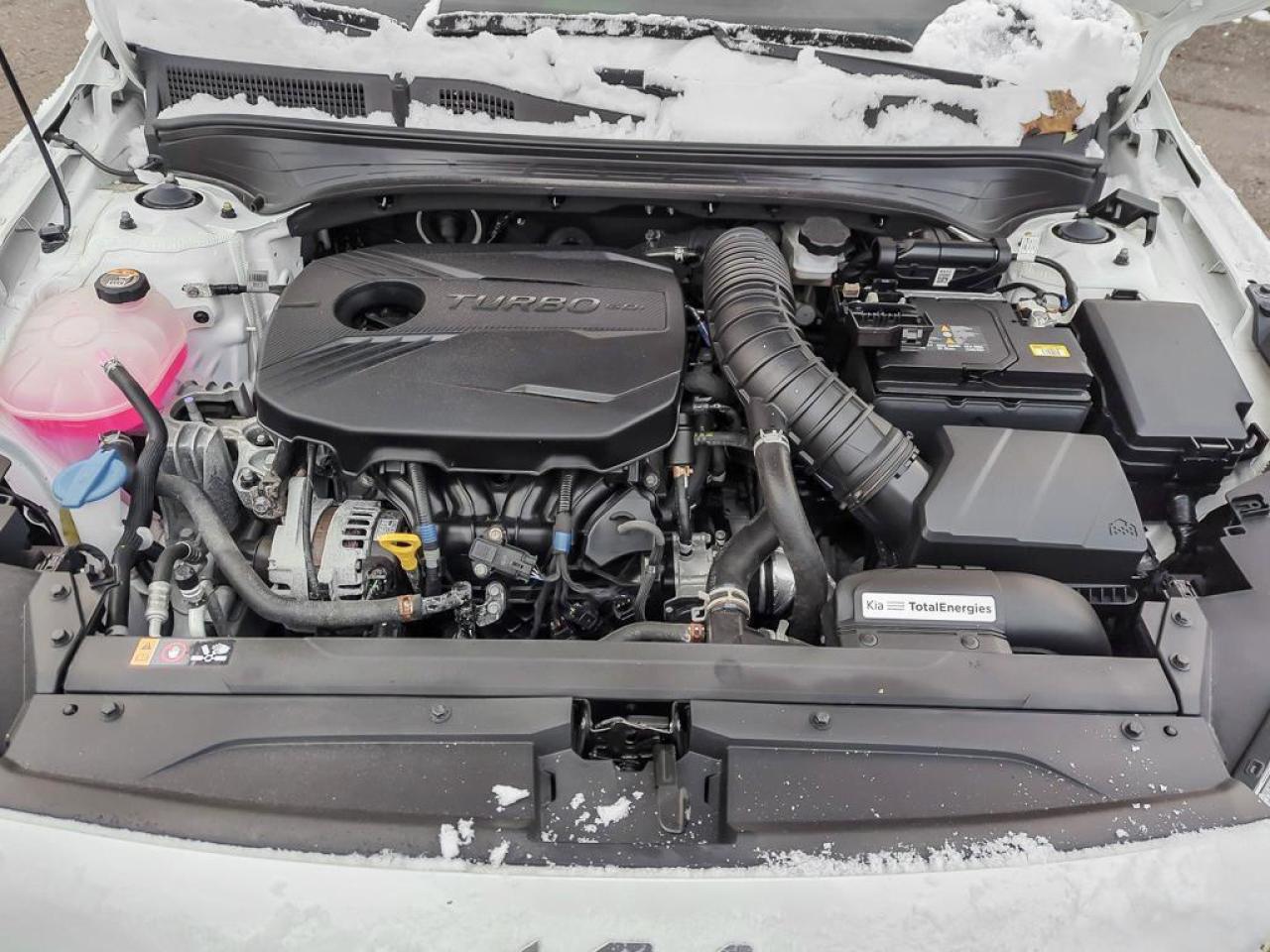 2024 Kia Forte5 GT Photo