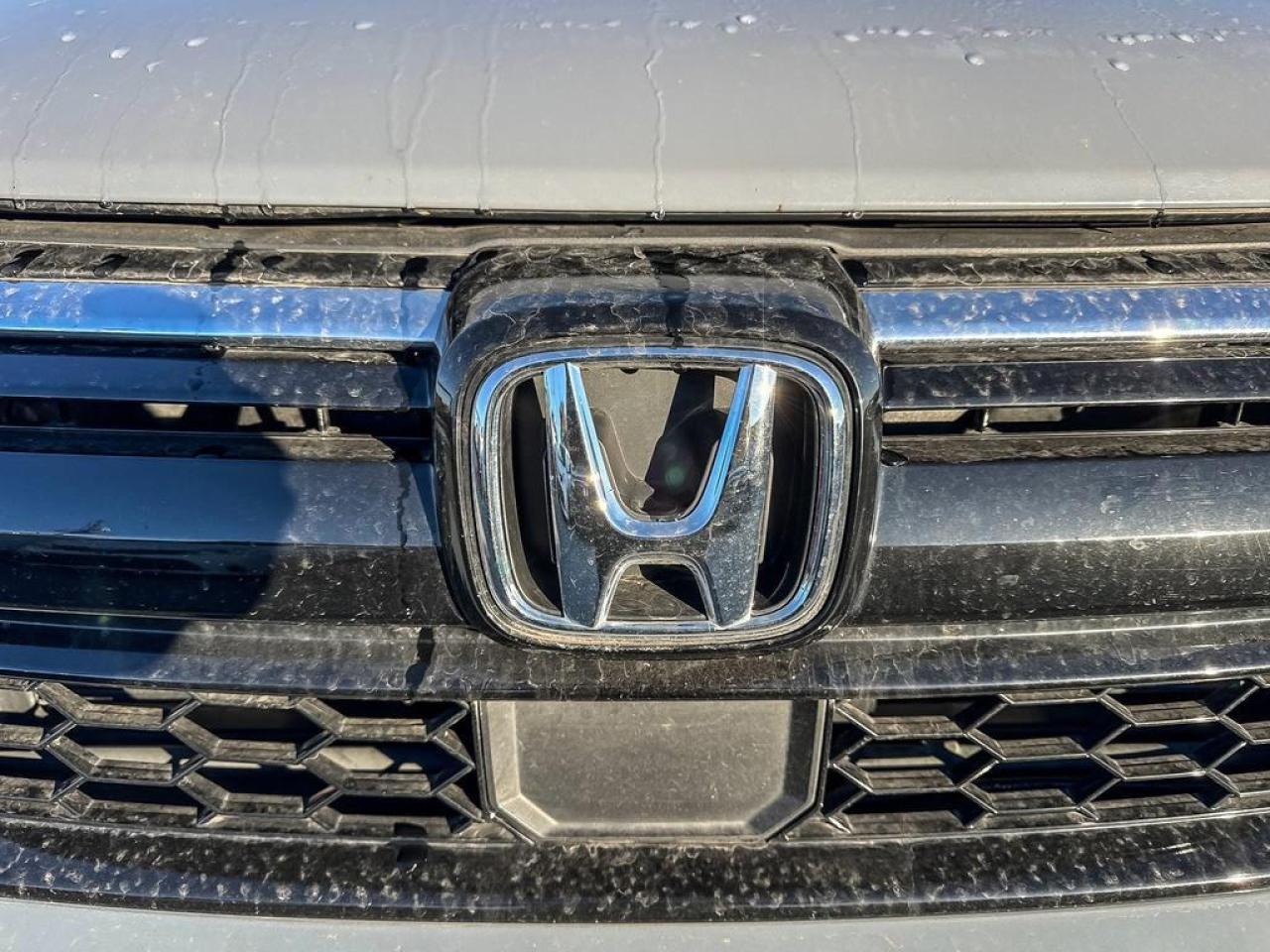 2022 Honda CR-V Sport Photo