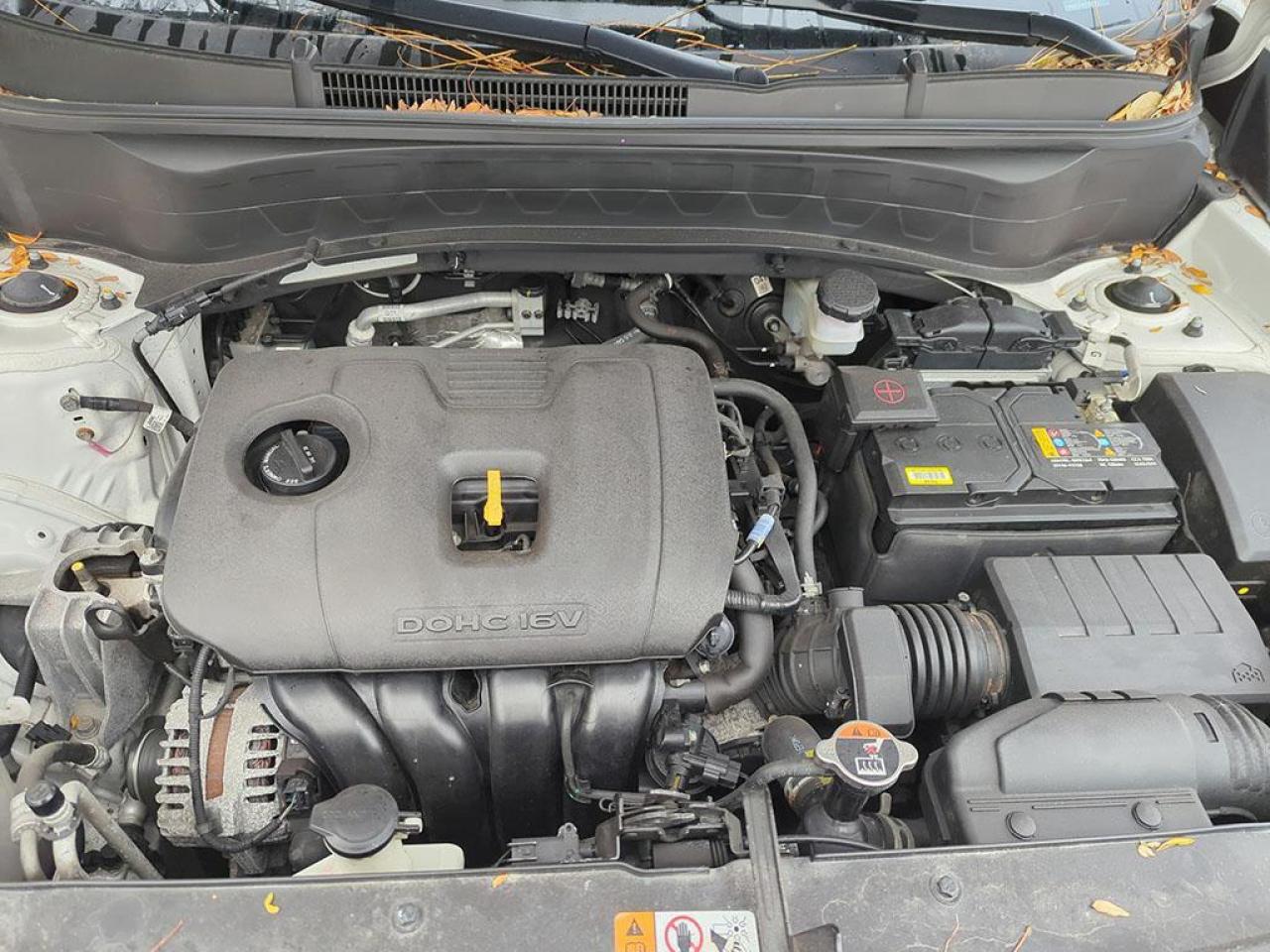 2023 Kia Seltos LX Photo