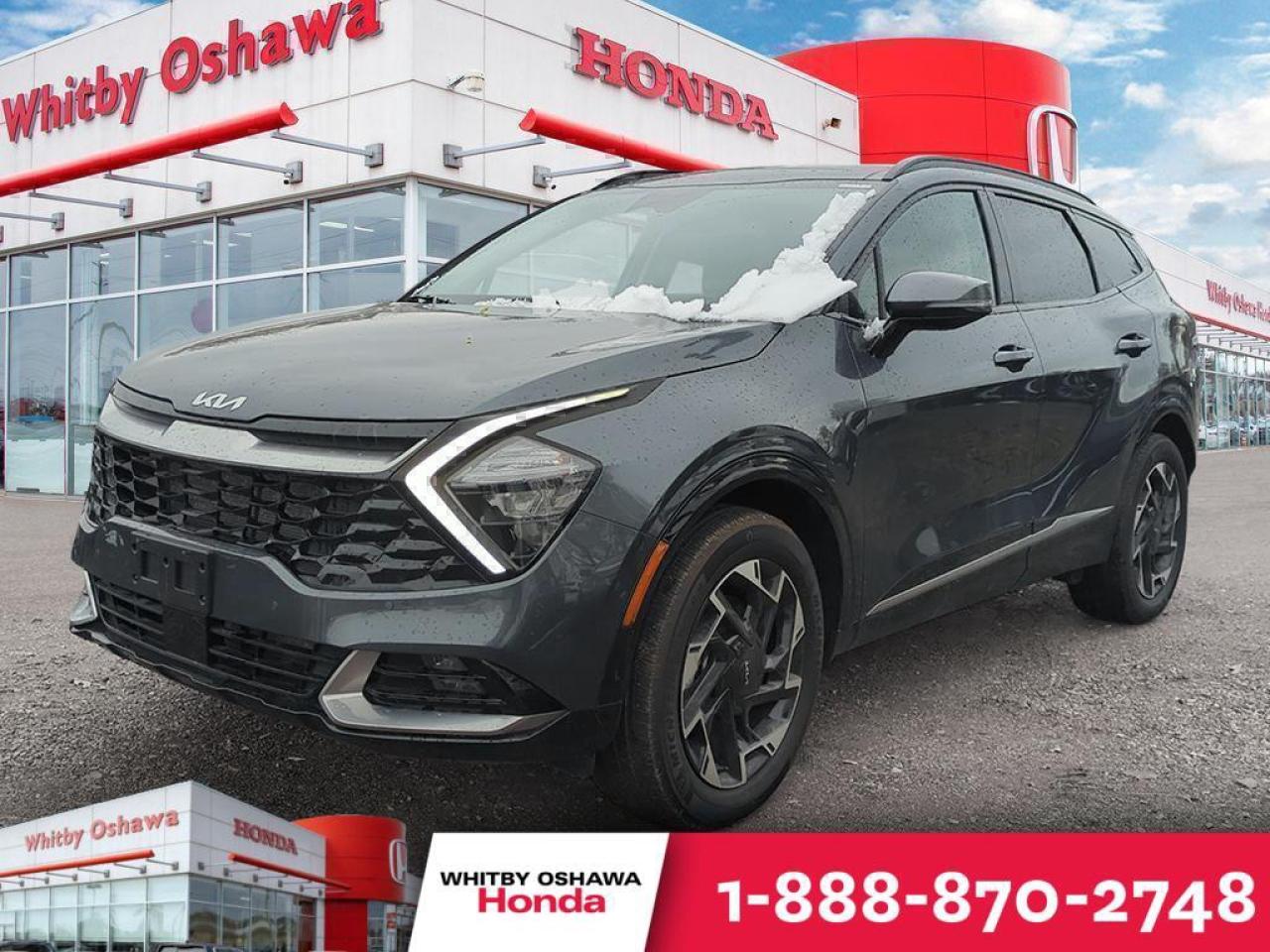 2024 Kia Sportage EX Photo0