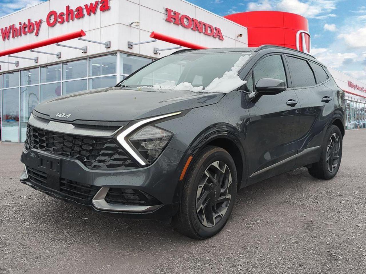 2024 Kia Sportage EX Photo