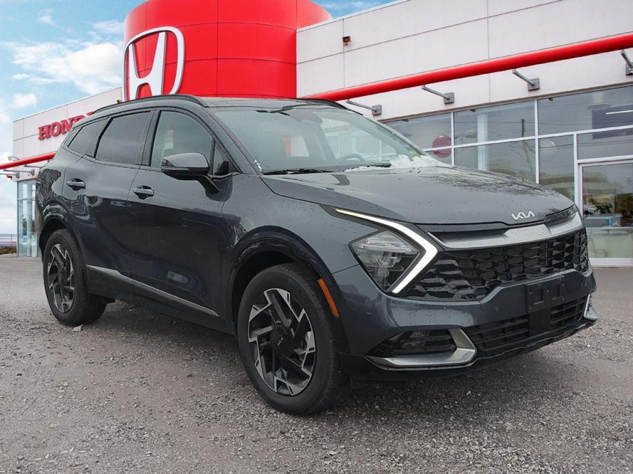 2024 Kia Sportage EX Photo