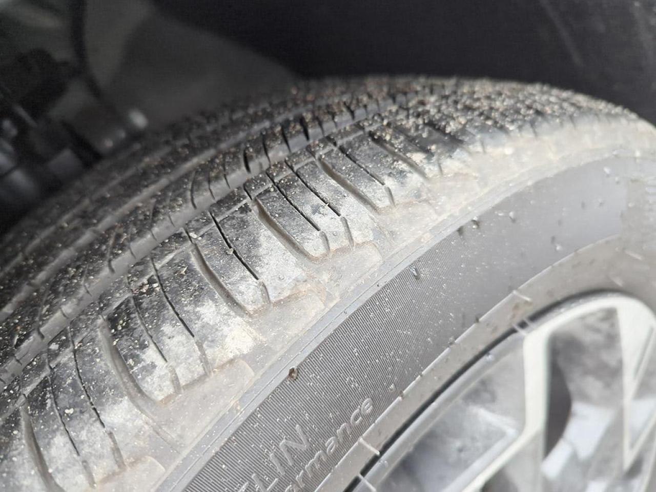 2024 Kia Sportage EX Photo