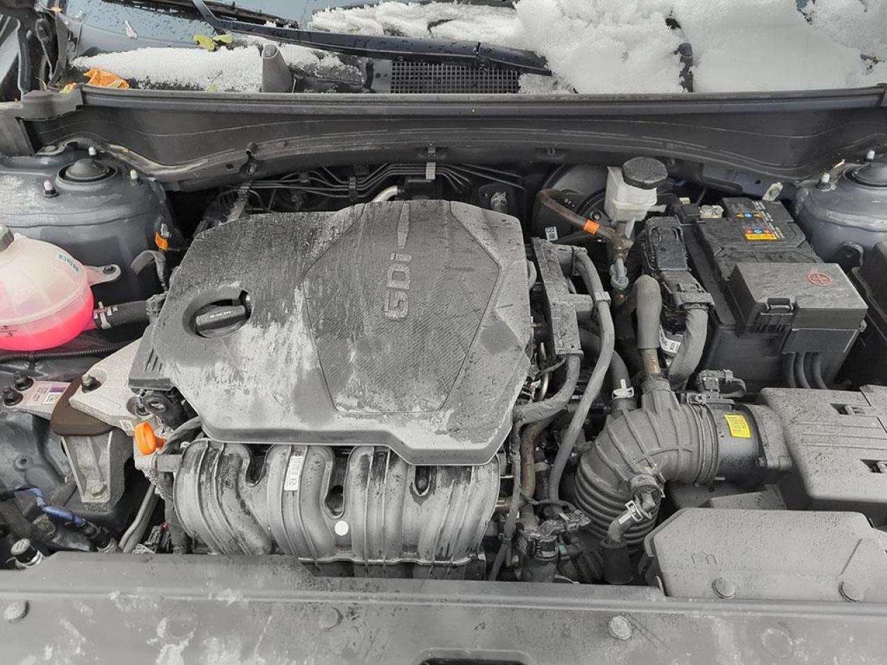 2024 Kia Sportage EX Photo