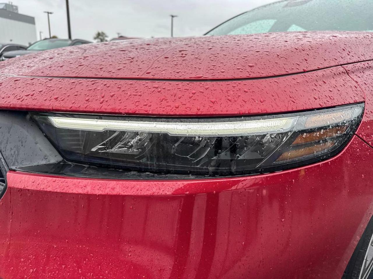 2024 Honda Accord Hybrid Sport Photo