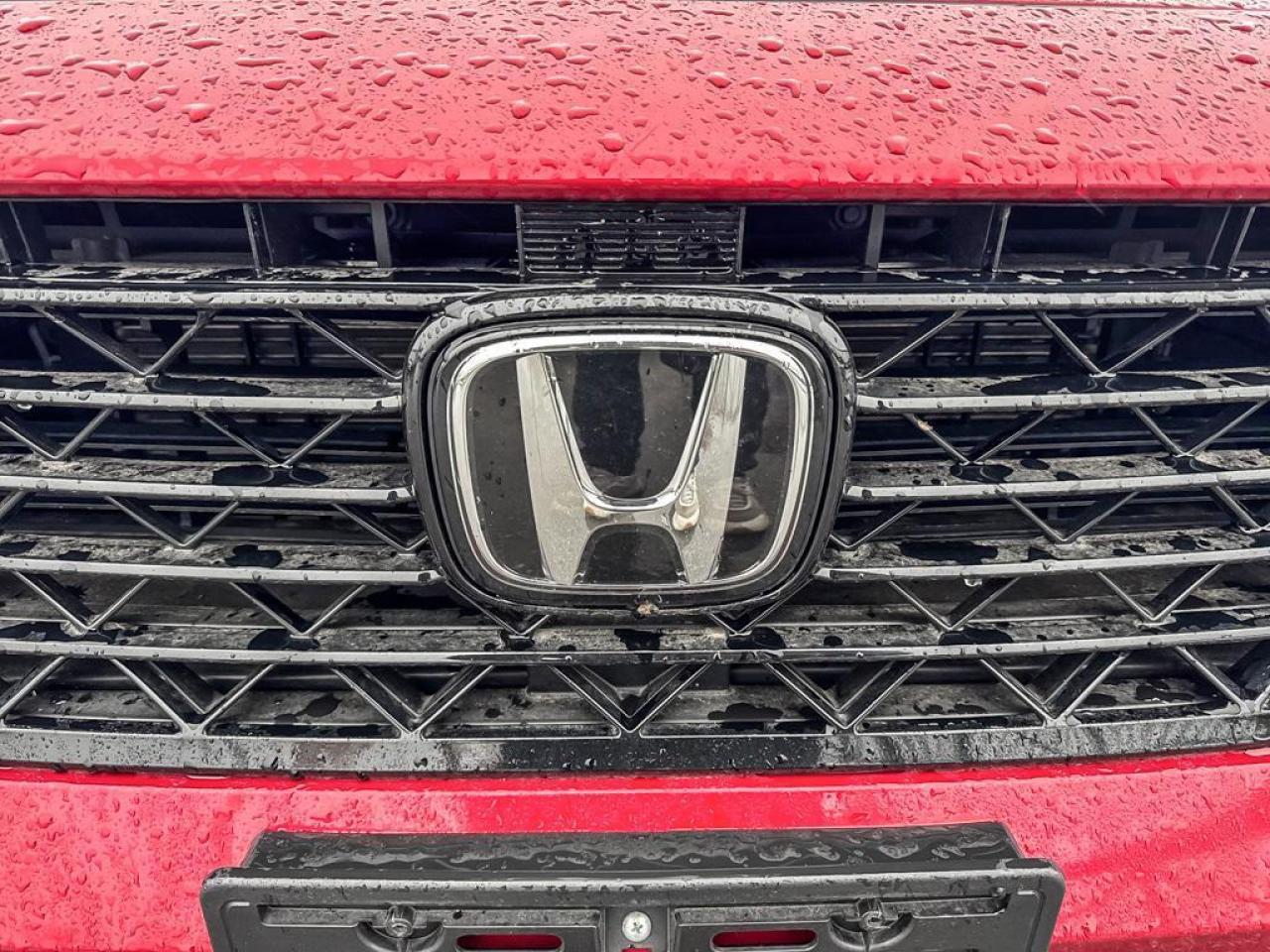 2024 Honda Accord Hybrid Sport Photo