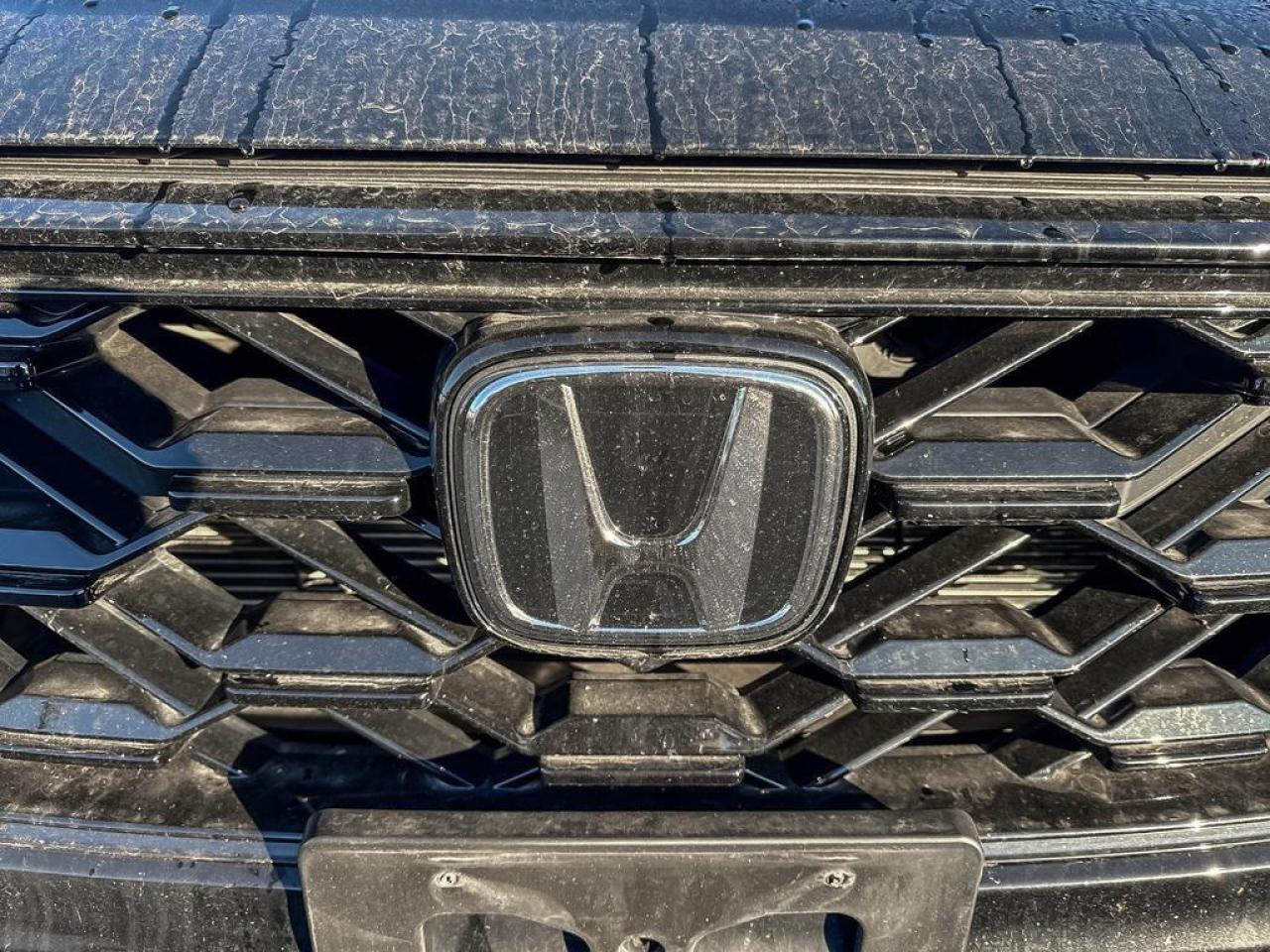 2025 Honda CR-V Hybrid EX-L Photo