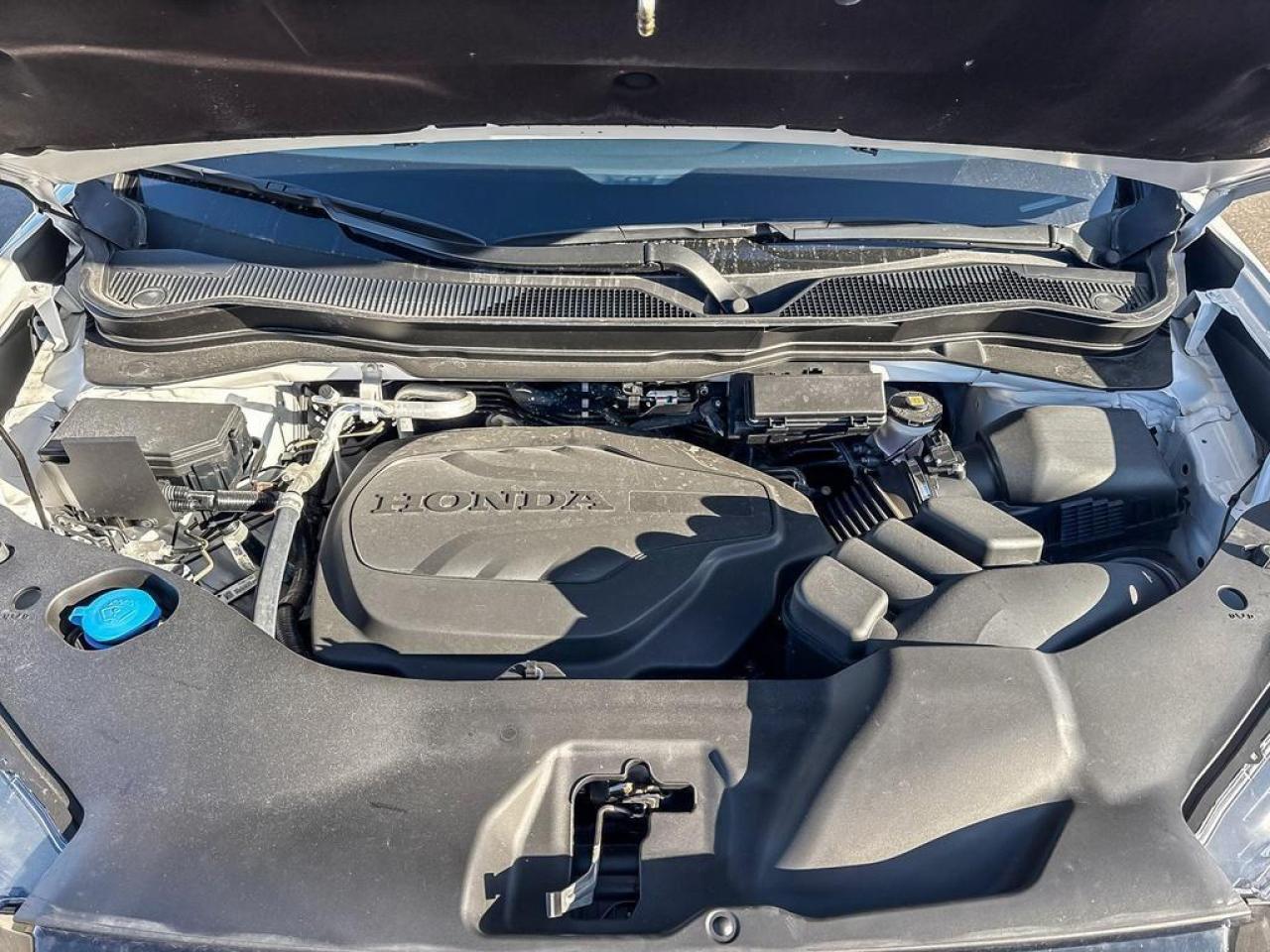 2024 Honda Ridgeline TrailSport Photo