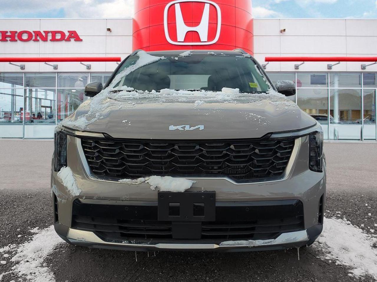 2024 Kia Sorento EX Photo