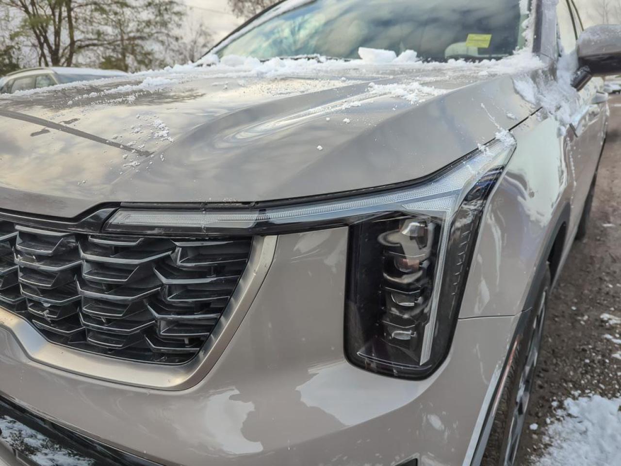 2024 Kia Sorento EX Photo