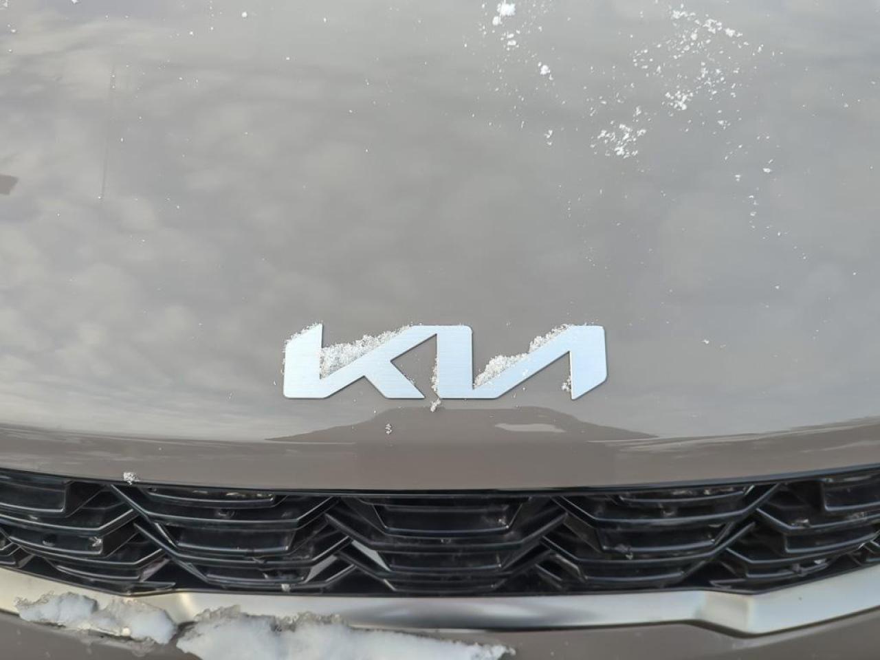 2024 Kia Sorento EX Photo