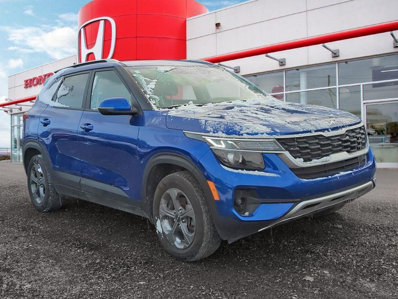 2023 Kia Seltos LX Photo