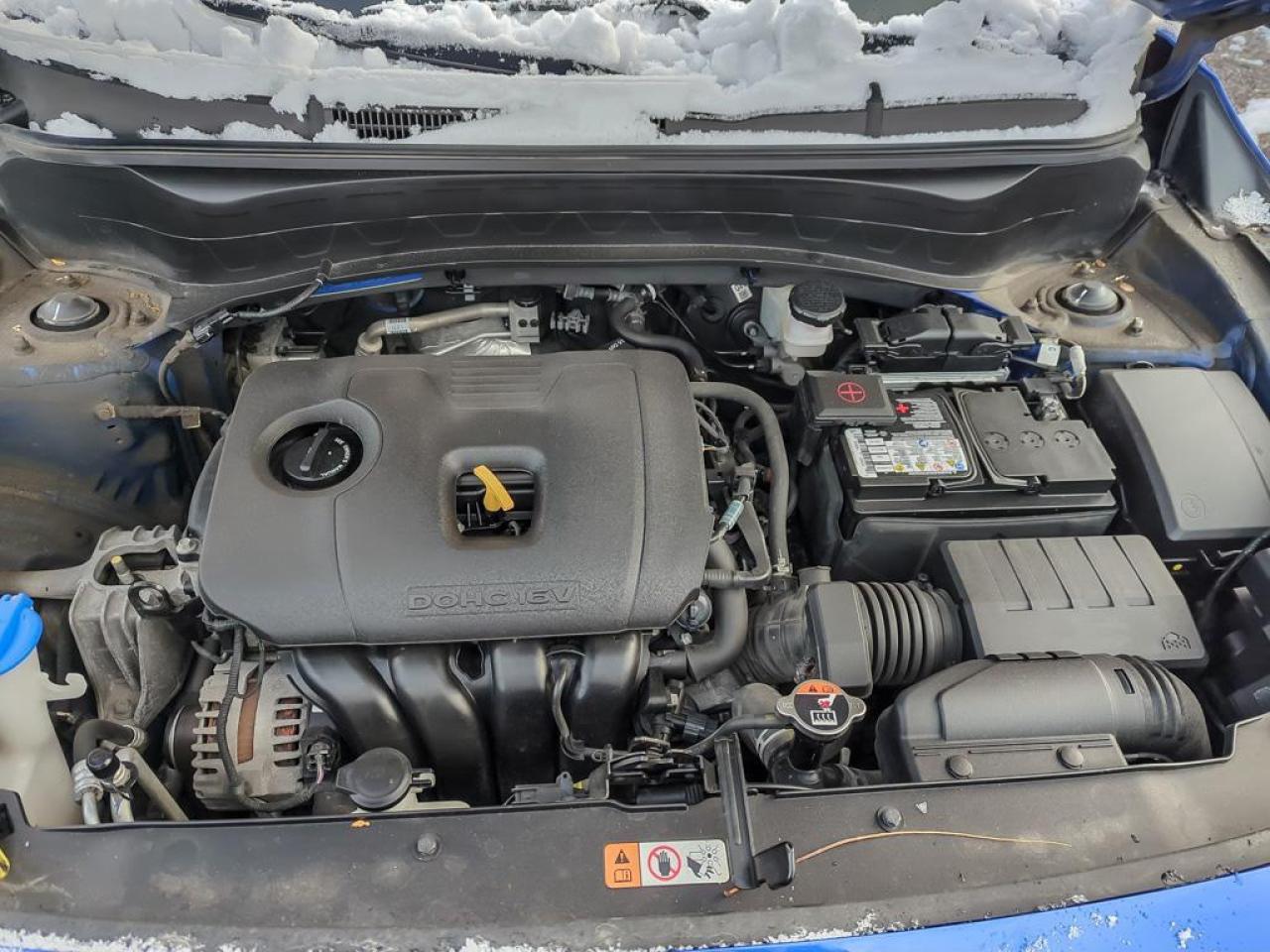 2023 Kia Seltos LX Photo