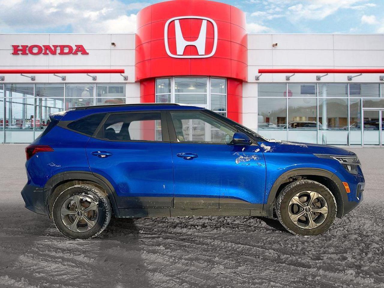 2023 Kia Seltos LX Photo