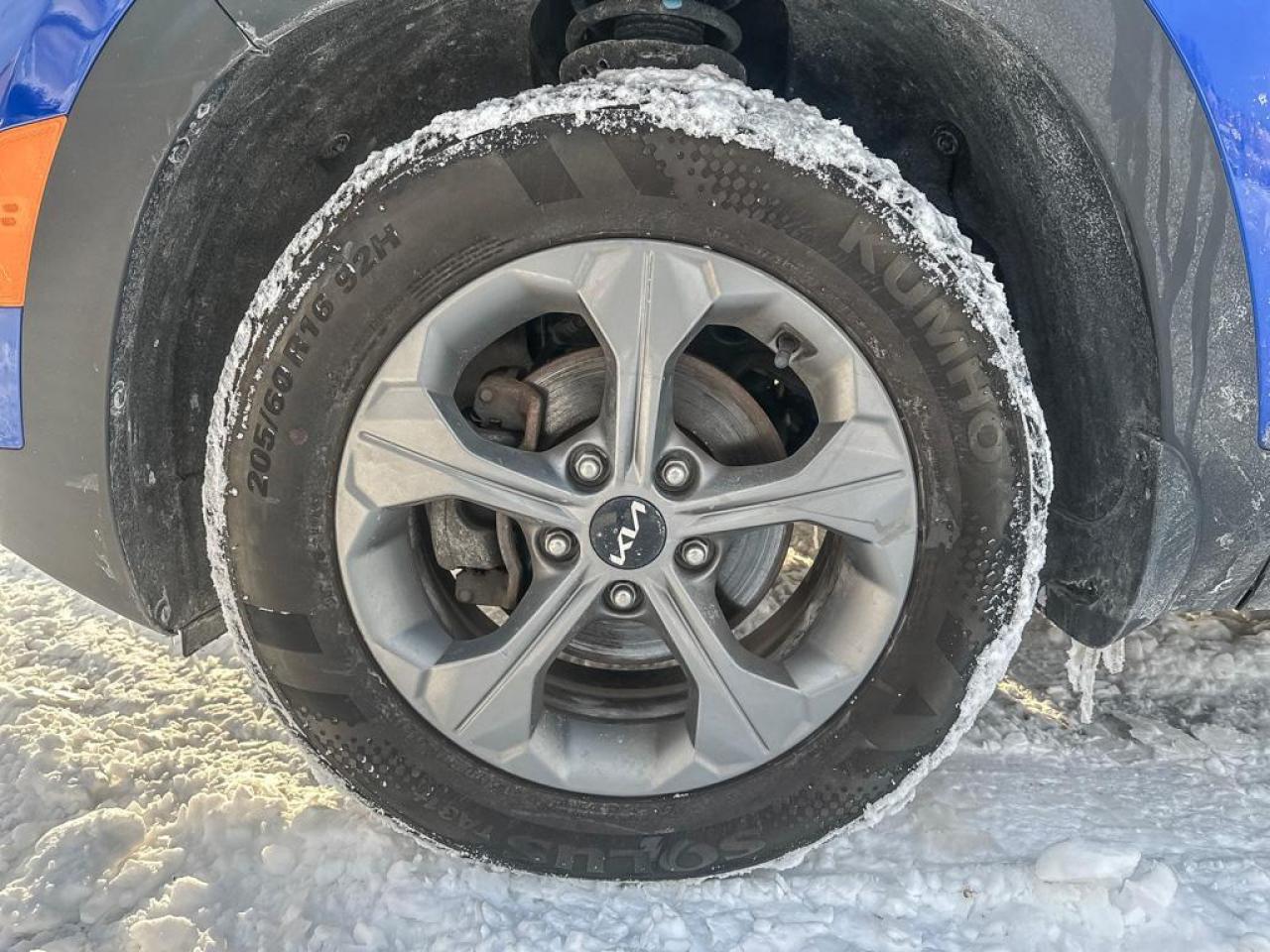 2023 Kia Seltos LX Photo