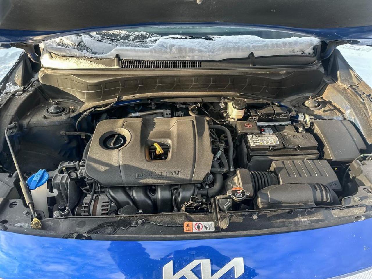 2023 Kia Seltos LX Photo