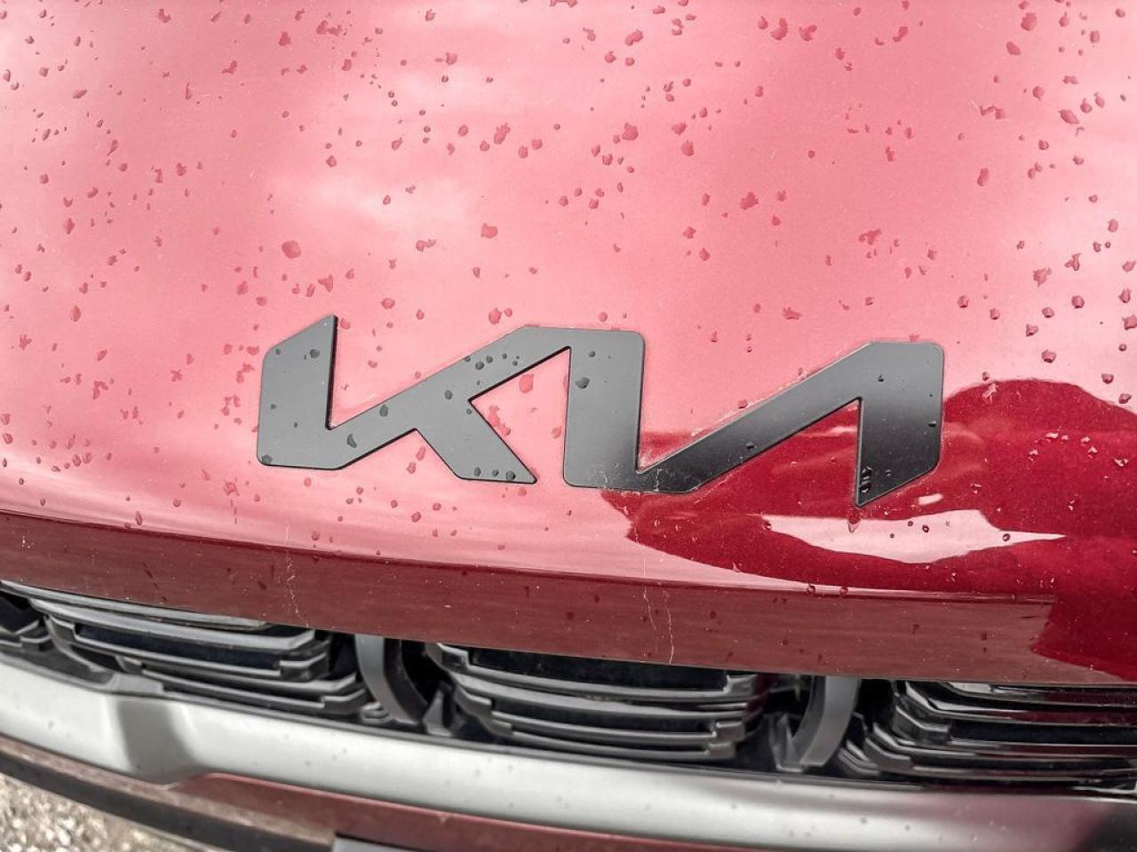 2025 Kia Sorento X-Line Photo