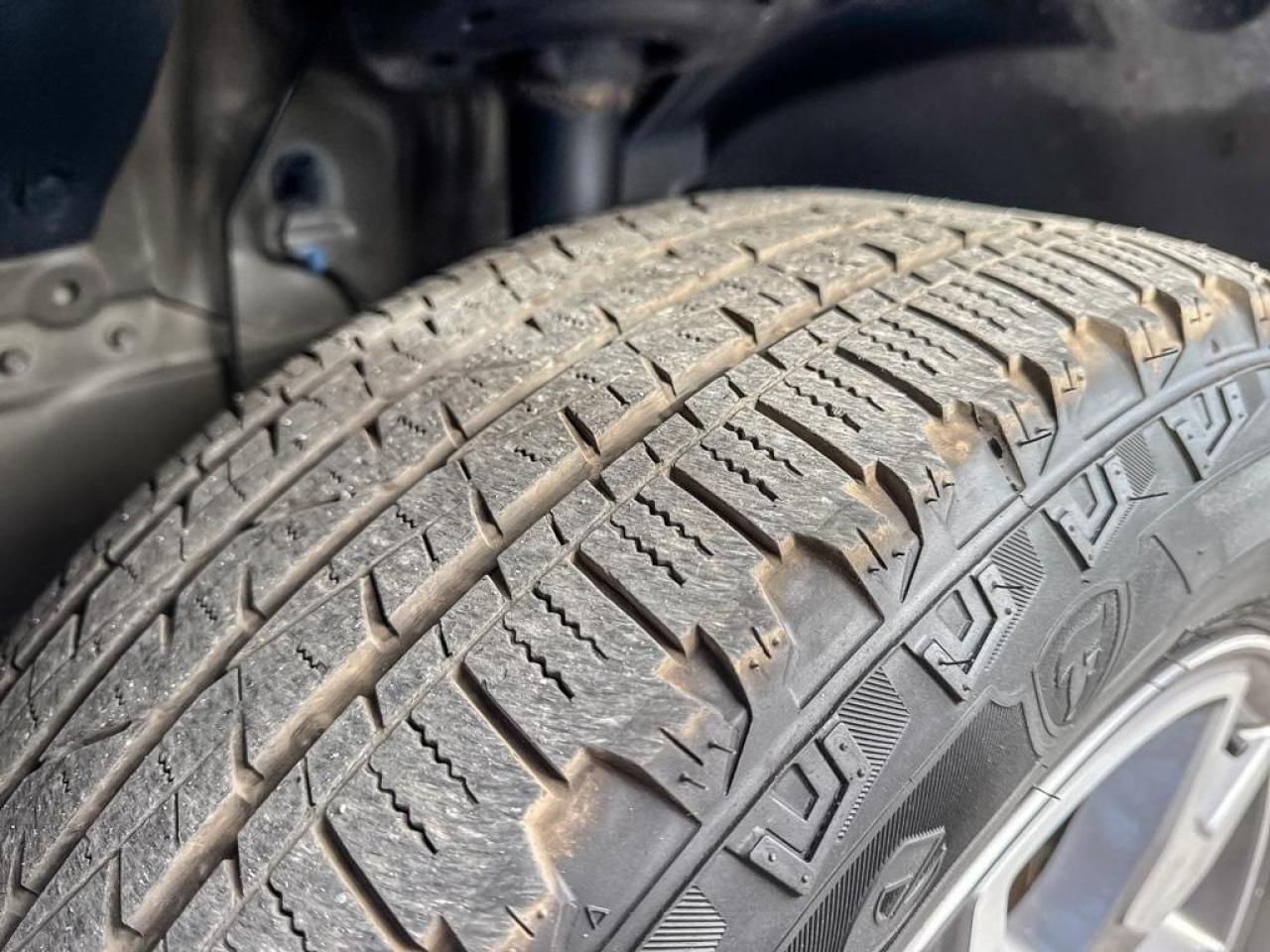 2022 Honda Passport TRAILSPORT Photo