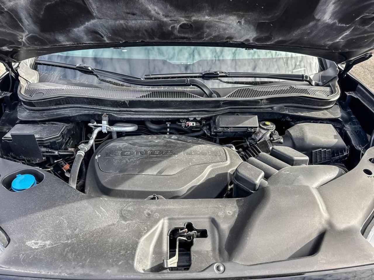 2022 Honda Passport TRAILSPORT Photo